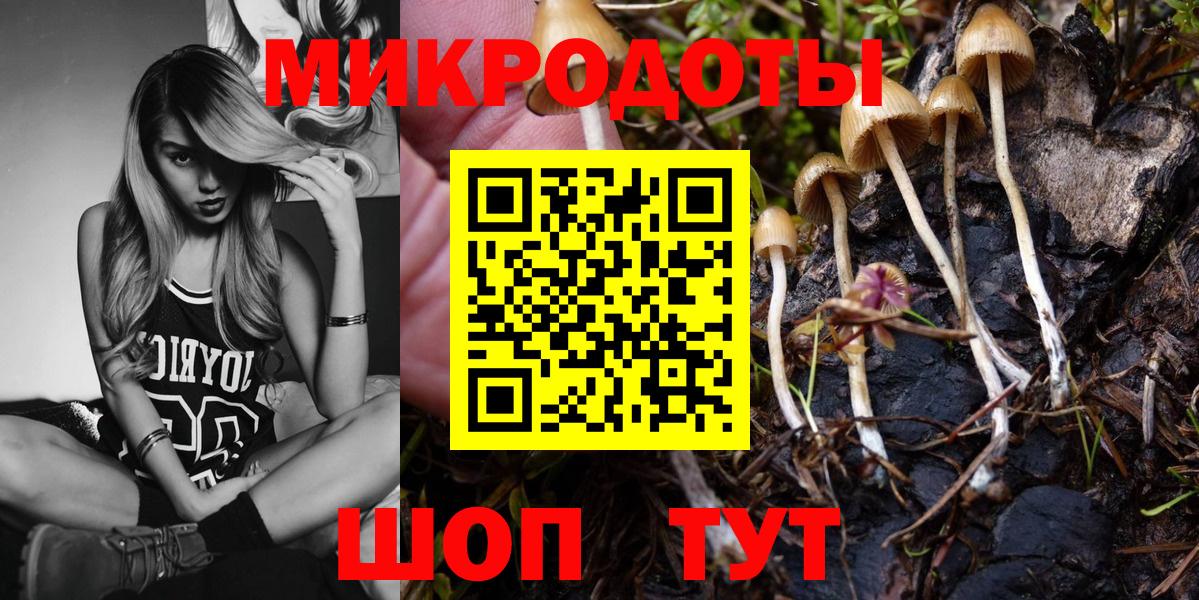 Жуковский  Псилоцибиновые грибы Psilocybine cubensis  Вход с VPN 