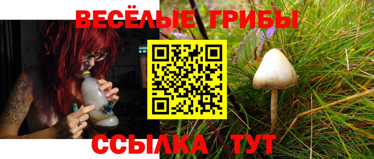 Галлюциногенные грибы Cubensis Жуковский